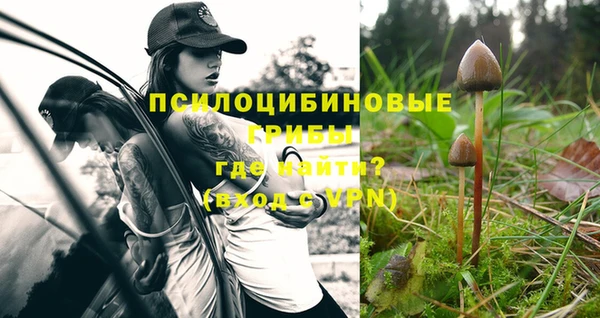 кристаллы Алзамай
