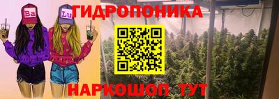 гидра Ярцево