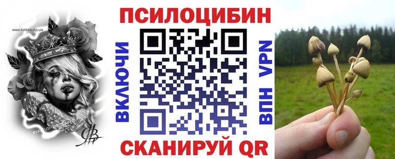 OMG зеркало  Заинск  Псилоцибиновые грибы Magic Shrooms 