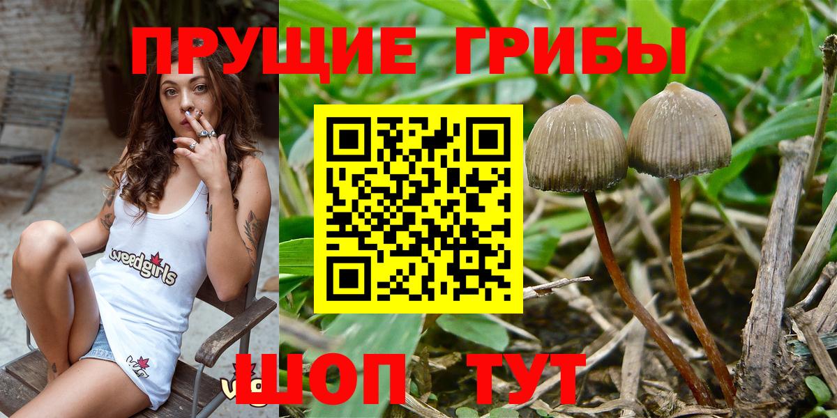 Псилоцибиновые грибы Magic Shrooms  Вход с VPN  Заинск 